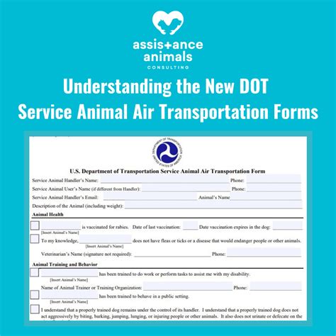 How To Fill Up Dot Service Animal Air Transportation Form To Fly With