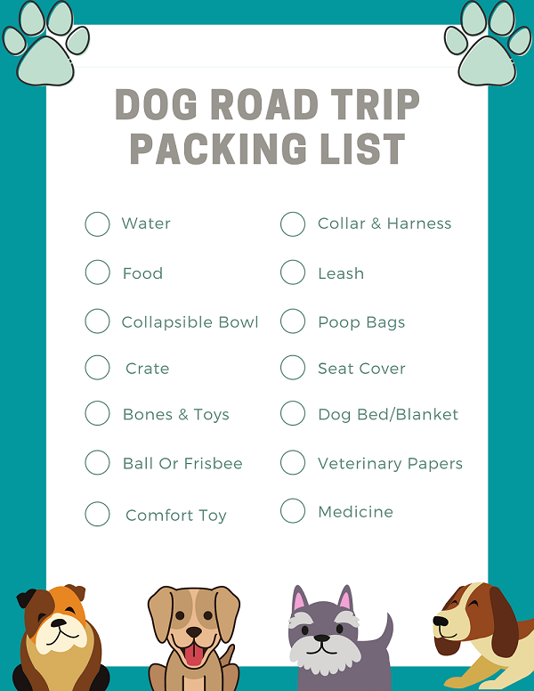 How To Fly With Your Dog In The Cabin Road Trip With Dog Dog Travel