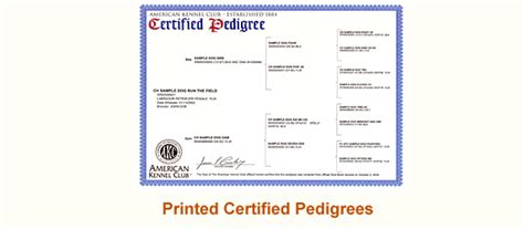 How To Get Akc Papers Any Breeder Or Kennel Who Registers 4 Or More