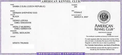 Get AKC Registration Papers