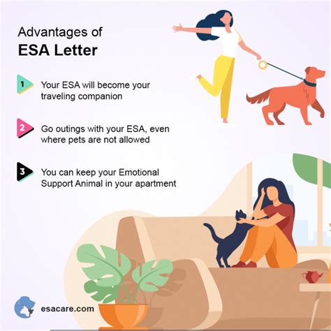 How To Get An Esa Letter Online In 4 Easy Steps Esa Care