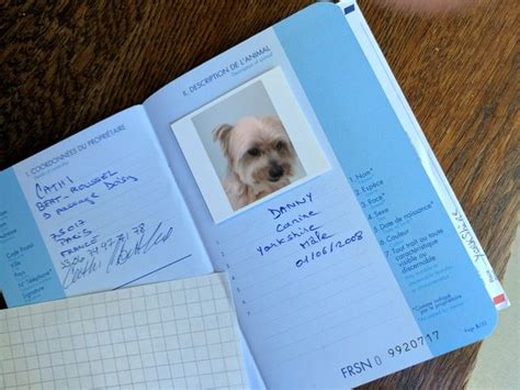 How To Get An Eu Pet Passport For Your Dog Travelnuity Pet Travel