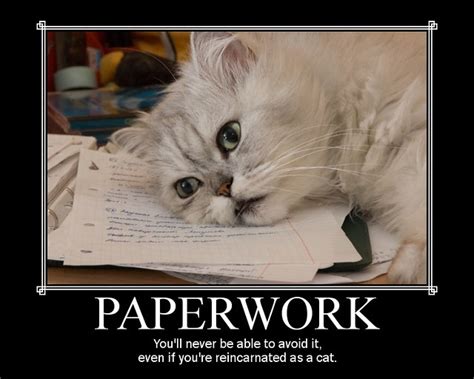 Get Paperwork for Your Cat