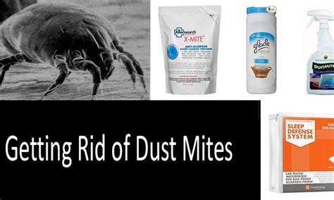 How To Get Rid Of Dust Mites 5 Guaranteed Ways