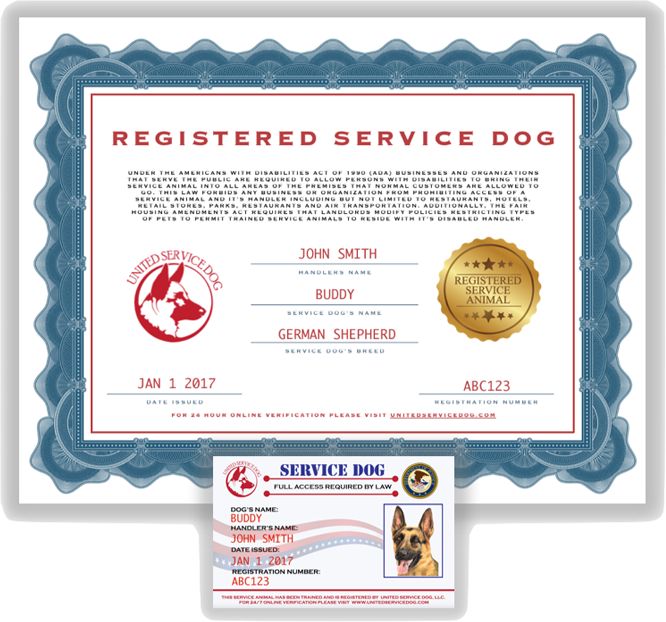 How To Get Service Dog Papers