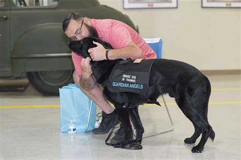 How To Handle A Service Dog In Your Restaurant Guardian Angels Medical Service Dogs