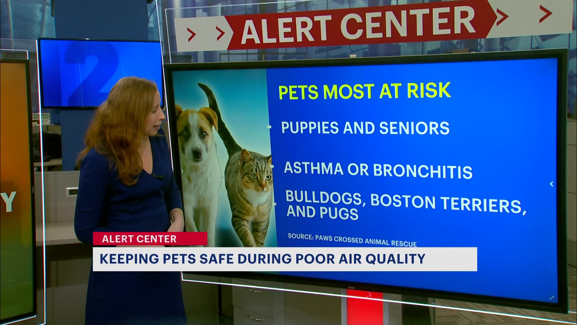 How To Keep Your Pets Safe Amid California Wildfires