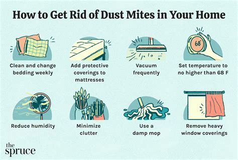 5 Ways Kill Dust Mites