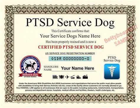 How To Obtain Service Dog Papers 12 Steps With Pictures