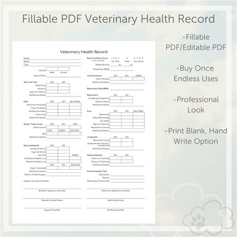 Organize Veterinary Clinic Paperwork