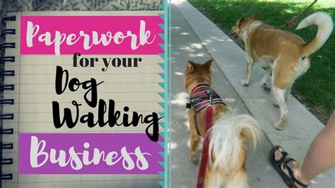 How To Organize Your Dog Walking Paperwork Youtube