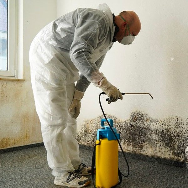 How To Prepare Your Home For Mold Remediation Rytech Restoration