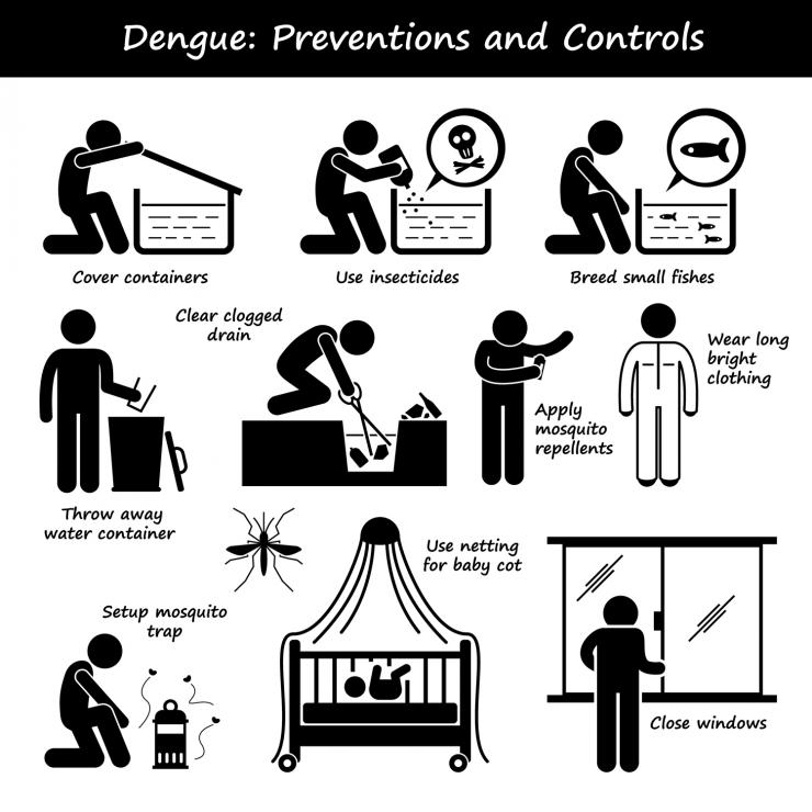 How To Prevent Dengue 6 Ways To Stay Safe And Keep Mosquitoes At Bay Nippon Paint Singapore