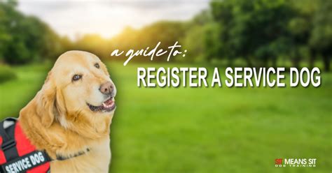 How To Register A Service Dog A Simple Guide Sit Means Sit Dallas