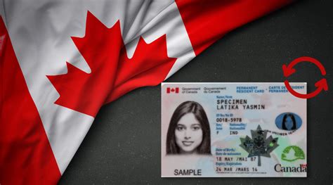 How To Renew Your Permanent Resident Card In Canada Loans Canada