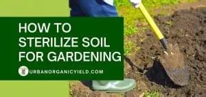 How To Sterilize Soil For Your Garden Urbanorganicyield Com