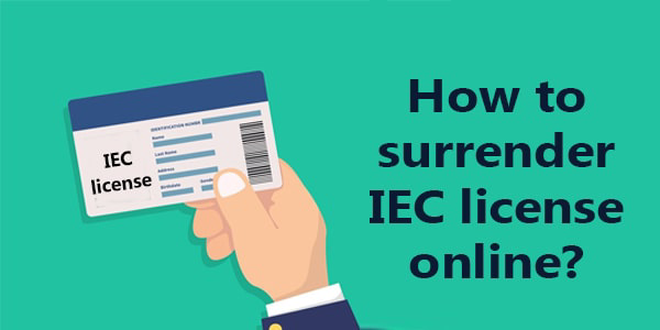 How To Surrender An Import And Export Code Iec