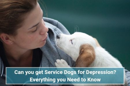 How To Train A Service Dog For Depression Can You Get A Service Dog