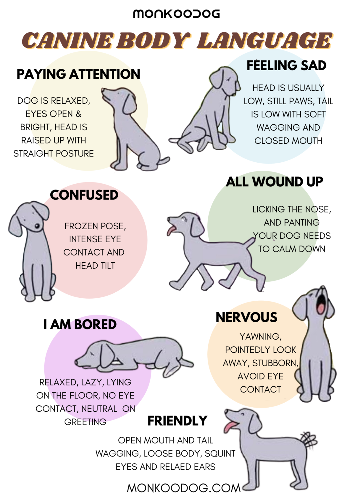 How To Understand Your Dog S Body Language Monkoodog