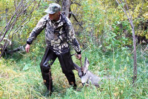 Hunting Paperwork Moves Online Merritt Herald