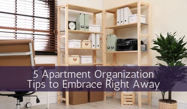 Icymi 5 Apartment Organization Tips To Embrace Right Away Rentec