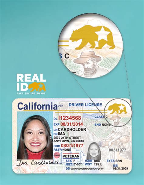 Id Card California Requirements At George Ponce Blog