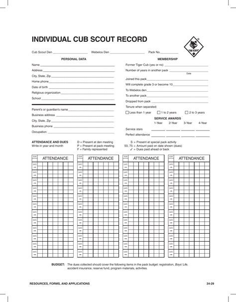 Individual Boy Scout Record Form Download Fillable Pdf Templateroller