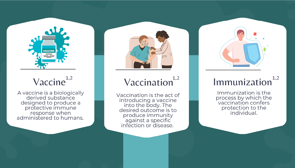 Influenza Vaccine Efficacy Effectiveness And Impact Explained