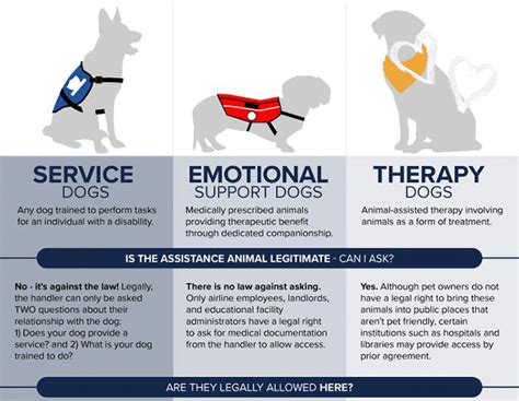 Infographic Is That A Real Service Dog Orvis News