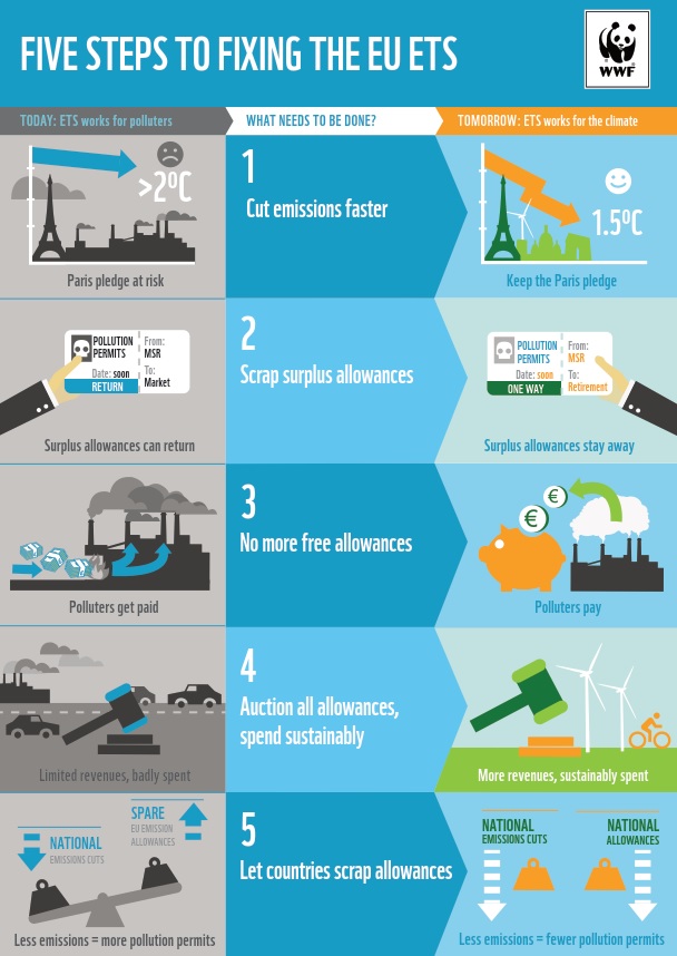 Infographic Wwf 5 Fixes For The Eu Ets Can Europe