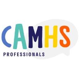 Infographics Page 5 Camhs Professionals