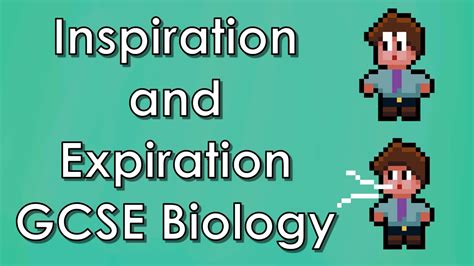 Inspiration Ad Expiration Explained Gcse Biology Wjec Aqa Gcse