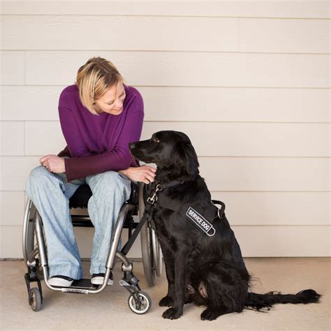 Instadocnow Emotional Support And Service Animals