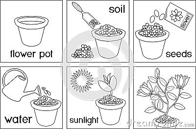 Instructions On How To Plant Flower In Six Easy Steps With Titles Step By Step Cartoon Vector