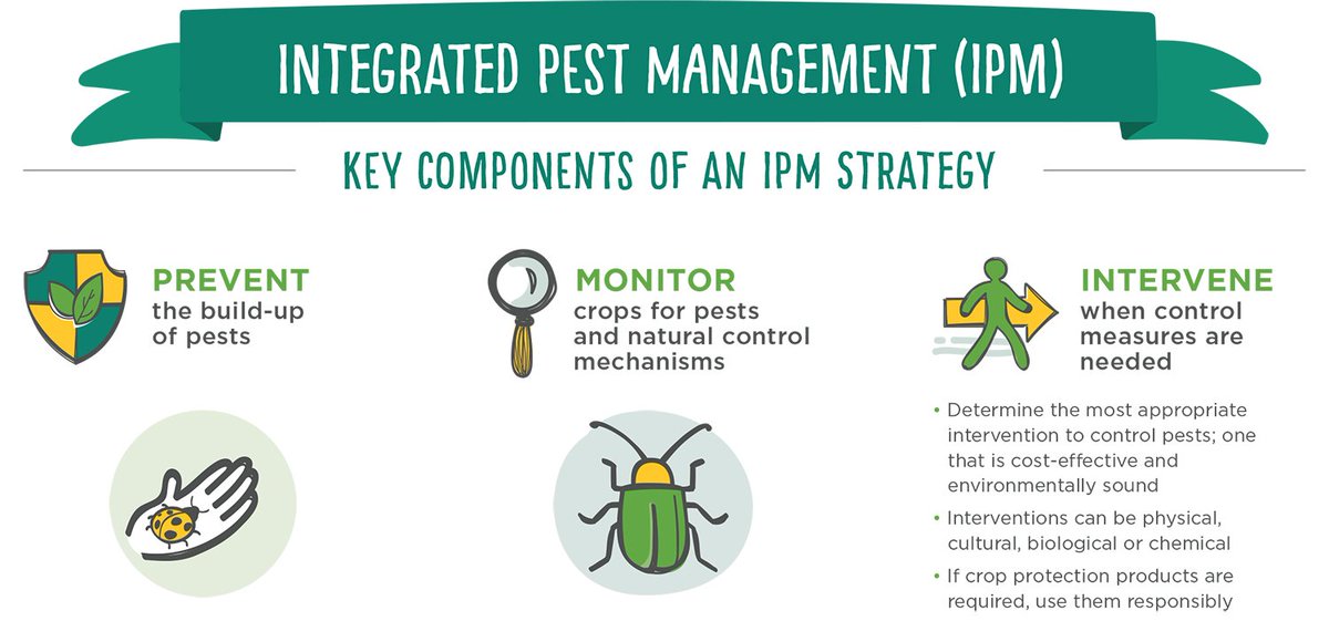 Integrated Pest Management Ipm A Reasonable And Responsible Approach