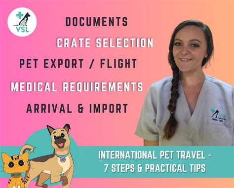 International Pet Travel 7 Steps Amp Practical Tips Vsl Veterinary Clinic