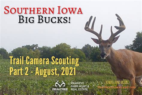 Iowa Trophy Whitetail Bucks Southern Iowa Land Sales