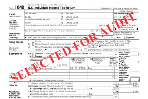 Irs Audit Forms Free Printable Documents