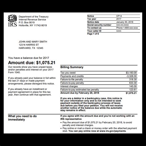 Irs Pay Taxes Margie Zukerman