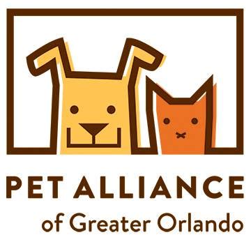 5 Pet Alliance Paperwork Tips