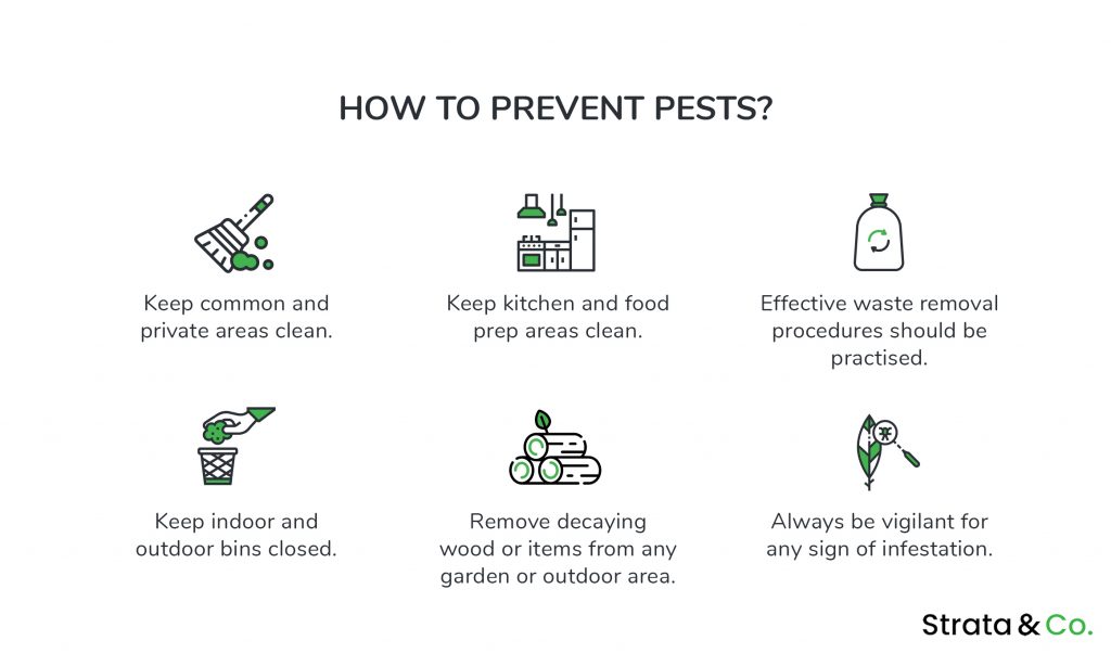 Is Pest Management A Part Of Strata Services Strata Co