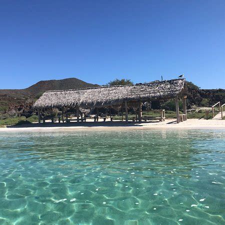 Isla Coronado Baja California Mexico Top Tips Before You Go With