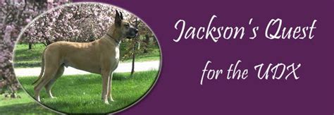 Jackson S Quest For The Udx A New Title And A Patch To Go With