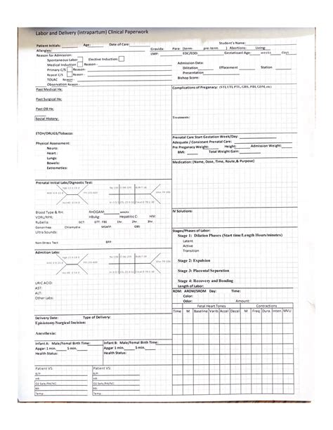 Labor And Delivery Intrapartum Clinical Paperwork Nurs303 Studocu