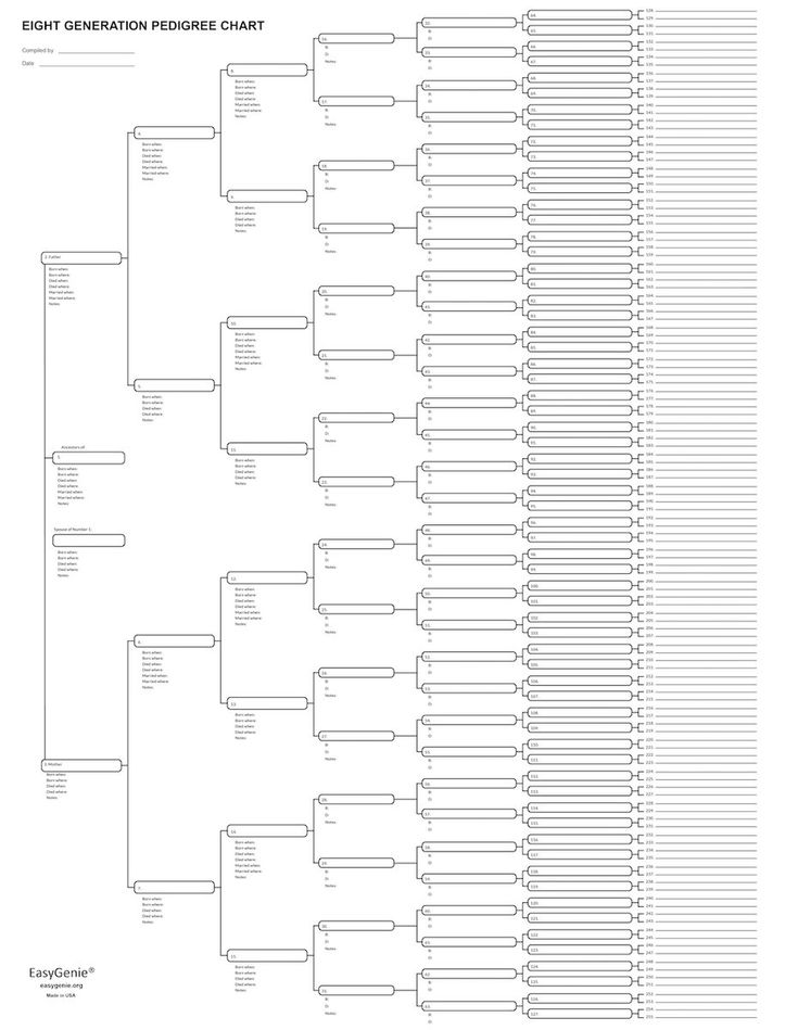 Large Print 6 Generation Blank Pedigree Chart 17 X 22 Inches Single