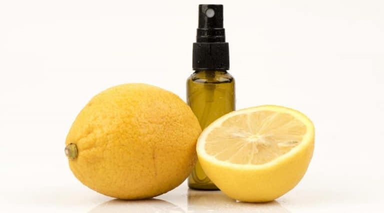 Lemon Spray For Cat Fleas