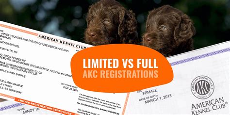 Limited Akc Registration Vs Full Akc Registration Breeding Business