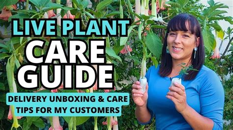 Live Plant Care Guide Delivery Unboxing For My Customers Youtube