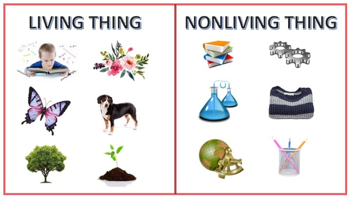 Living And Non Living Things Characteristics Amp Examples Living And Nonliving Nonliving