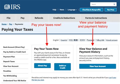 Llc Tax Filing What You Need To Know As A Solo Entrepreneur